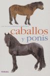 CABALLOS Y PONIS