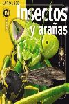 INSECTOS Y ARAÑAS